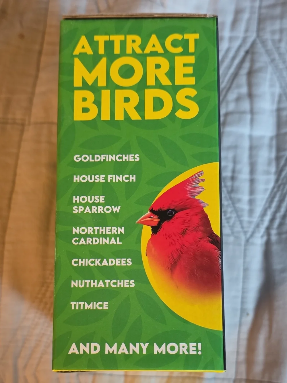 Window Bird Feeder - Clear